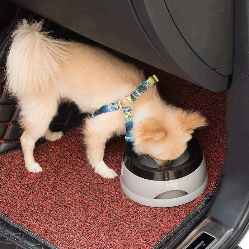Bols flottants pour chiens et  - Travel Accessories For Dogs avis et prix