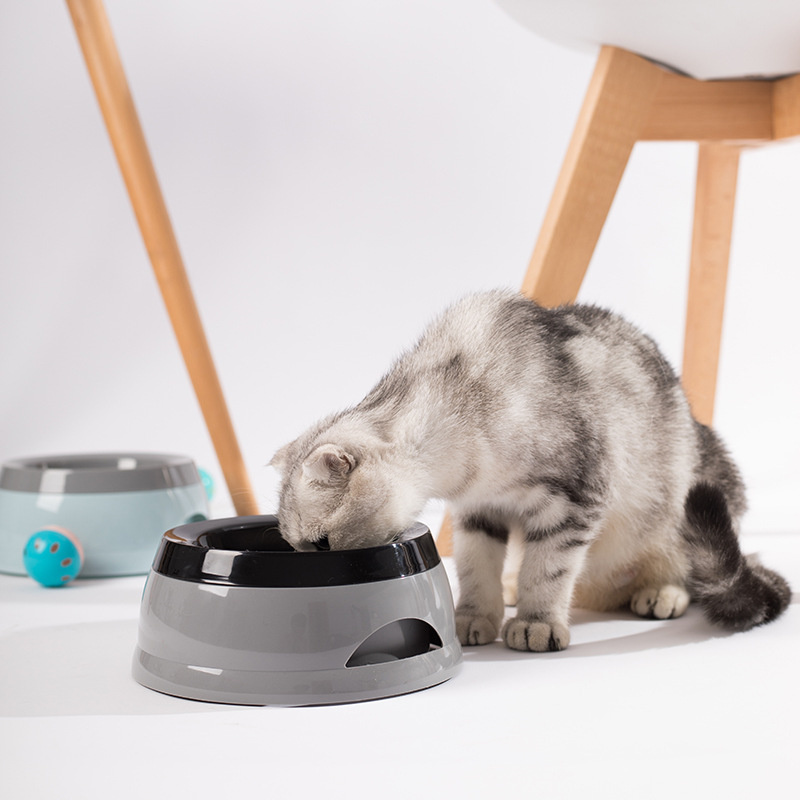 Bols flottants pour chiens et  - Travel Accessories For Dogs avis et prix