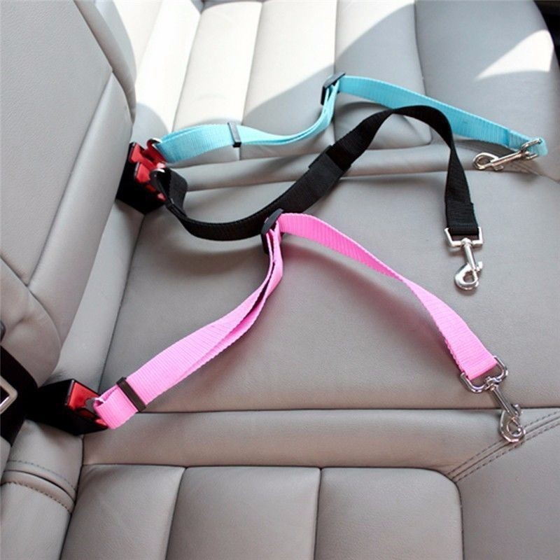 Harnais de sécurité pour chat  - Travel Accessories For Dogs avis et prix